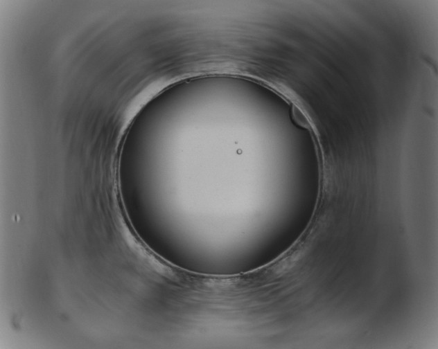 X0000103481389200809121640