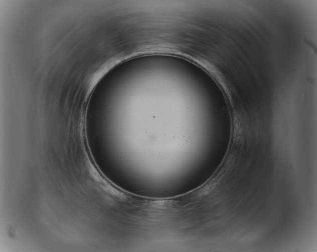 X0000103481390200809121640