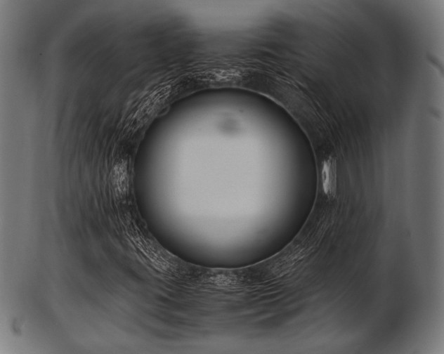 X0000103481395200809121639