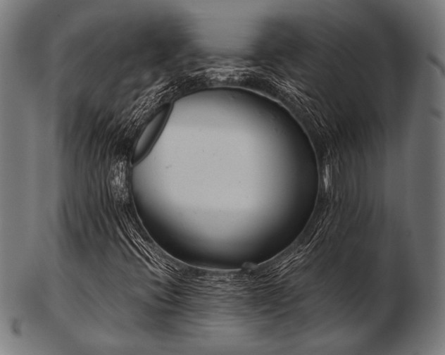 X0000103481396200809121639