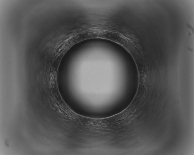 X0000103481397200809121639