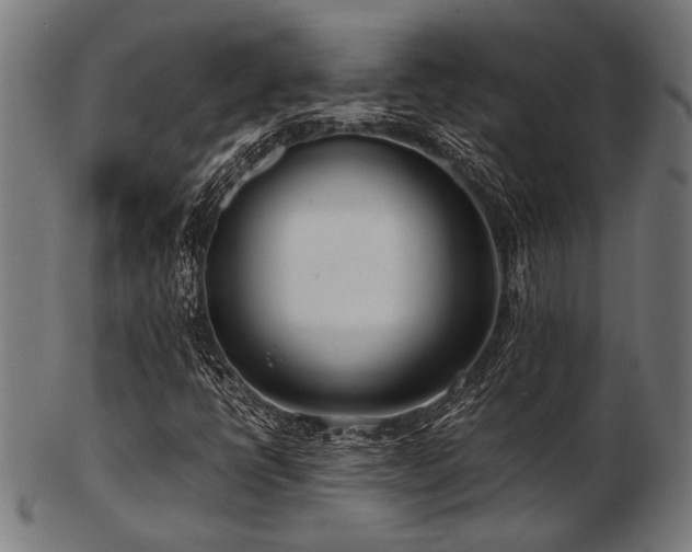 X0000103481398200809121639