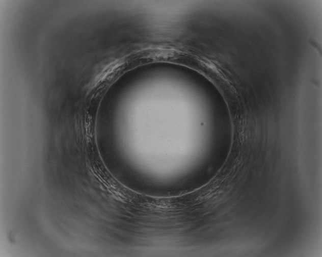 X0000103481399200809121639