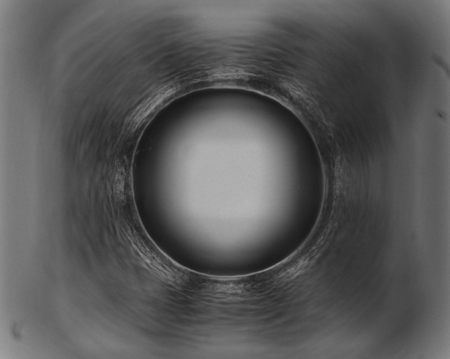 X0000103481401200809121639