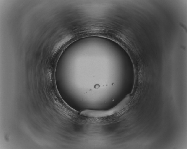 X0000103481402200809121639