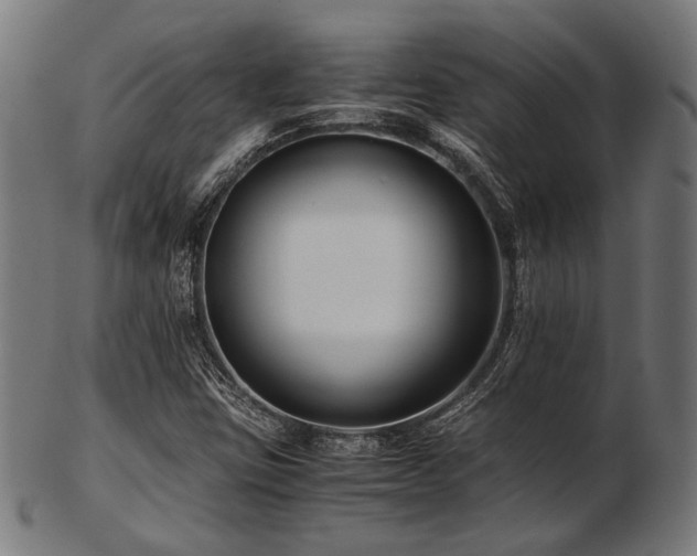 X0000103481403200809121640
