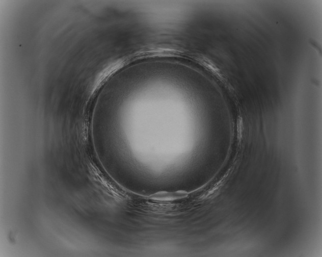 X0000103481405200809121640