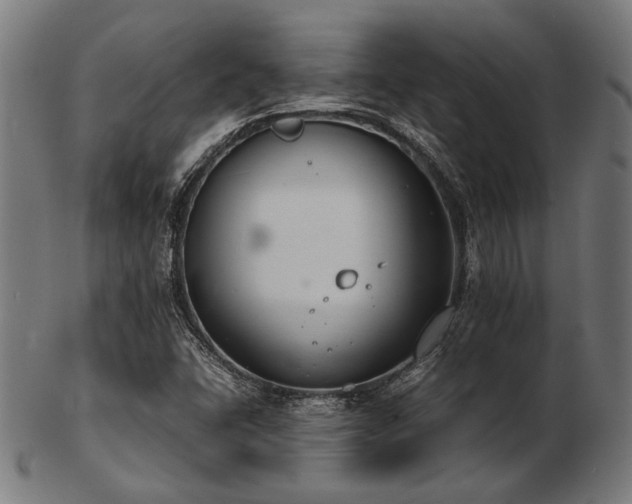 X0000103481406200809121640