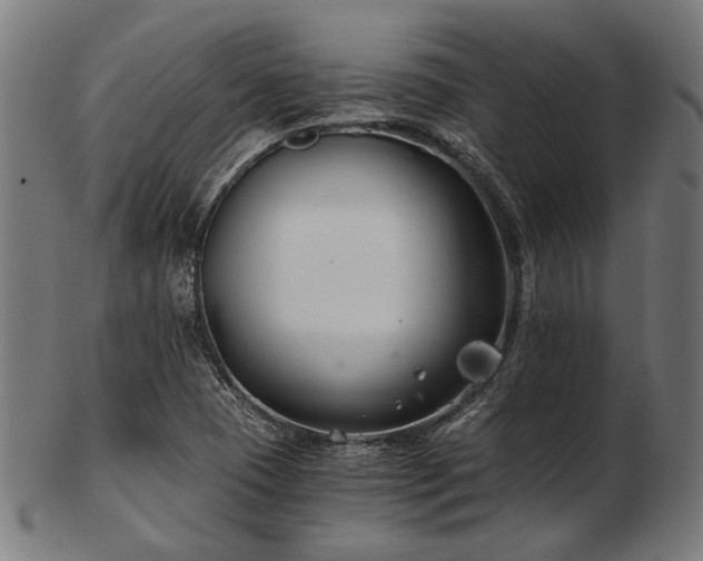 X0000103481409200809121640