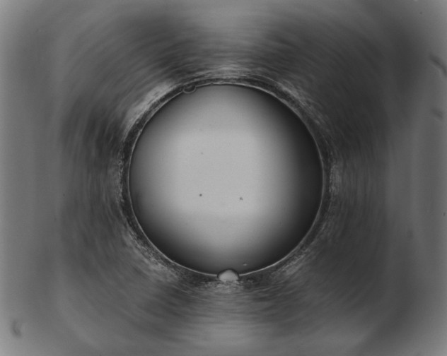 X0000103481410200809121640