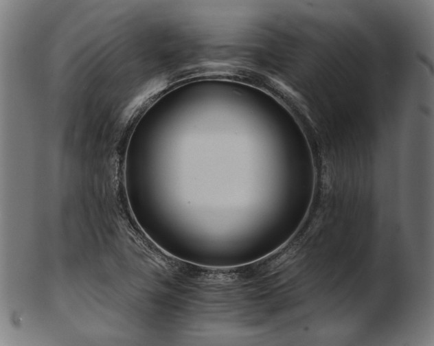 X0000103481411200809121640