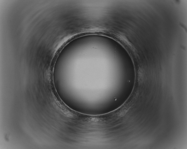 X0000103481412200809121640