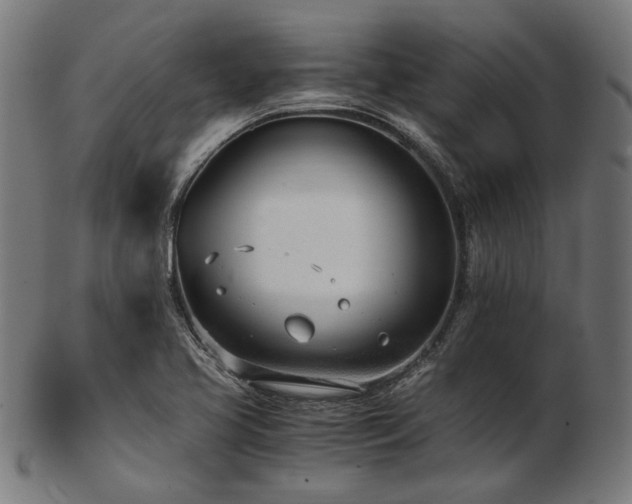 X0000103481413200809121640