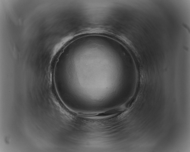 X0000103481414200809121640