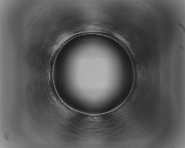 X0000103481415200809121640
