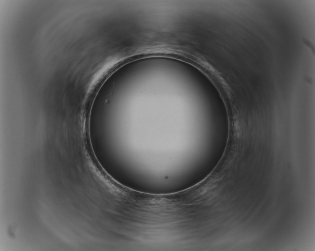 X0000103481416200809121640