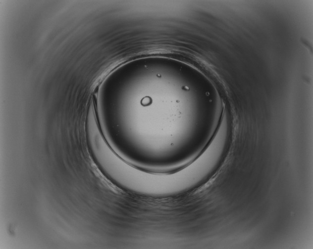X0000103481417200809121640