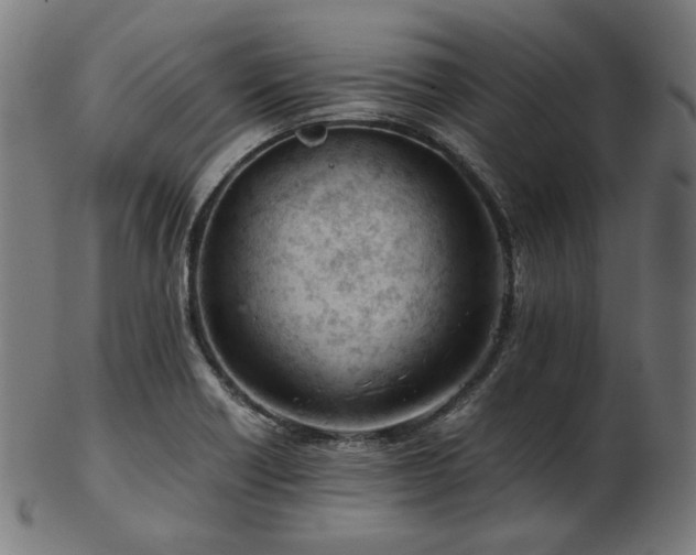 X0000103481418200809121640