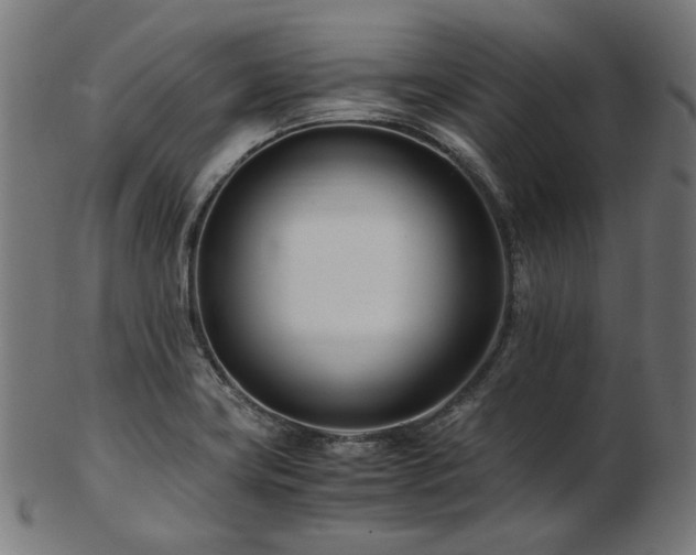 X0000103481419200809121640