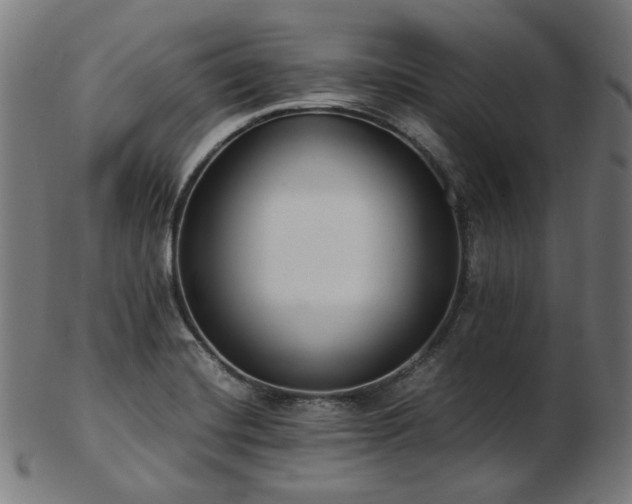 X0000103481420200809121640