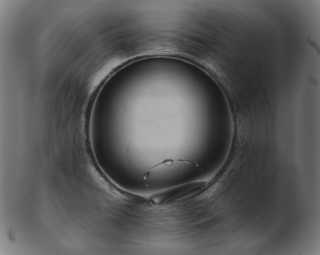 X0000103481422200809121640