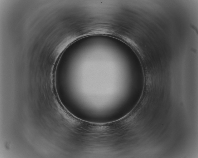 X0000103481423200809121640