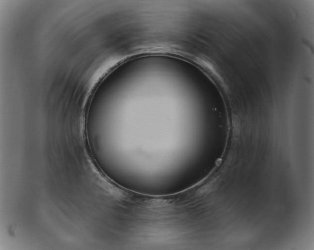 X0000103481424200809121640