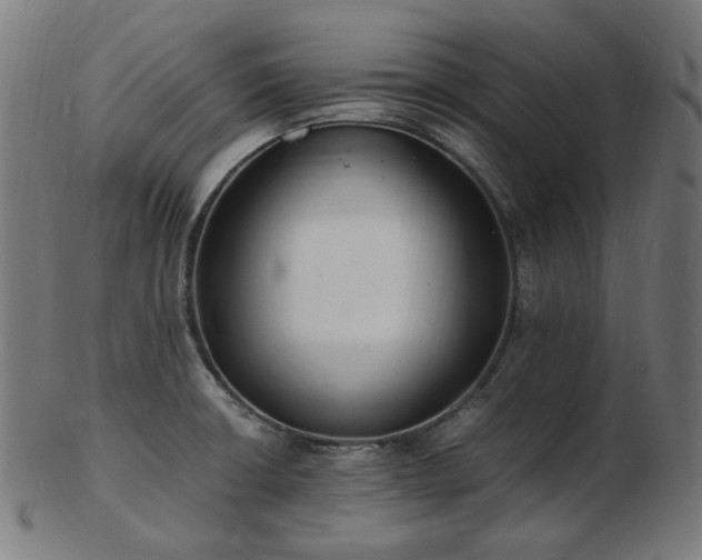 X0000103481426200809121640