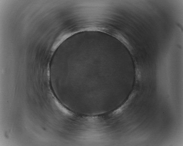 X0000103481428200809121640