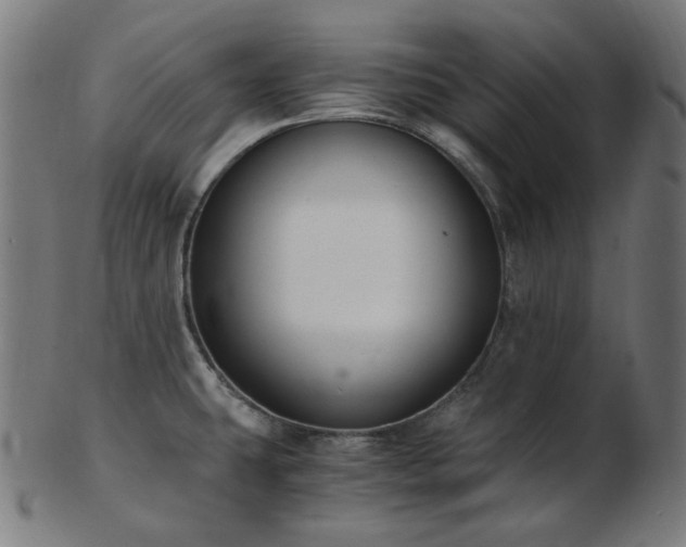 X0000103481431200809121640