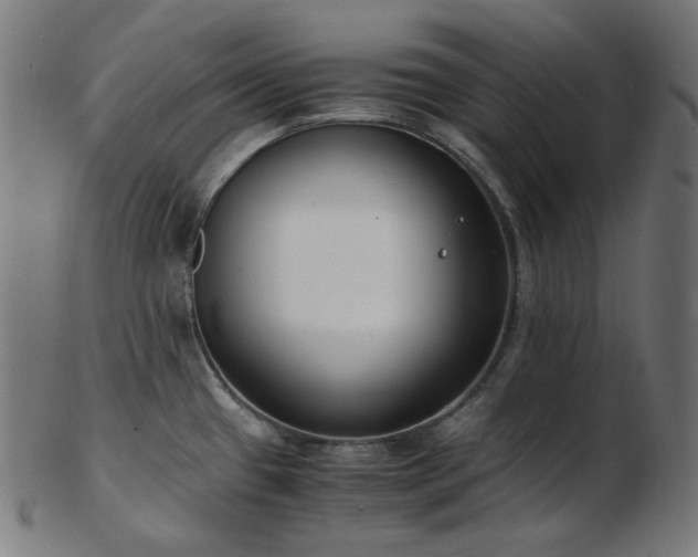 X0000103481433200809121640