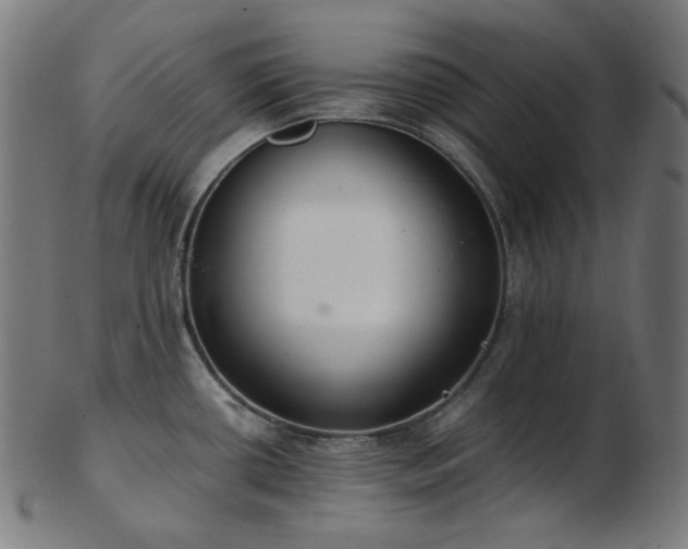 X0000103481434200809121640