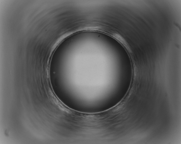 X0000103481436200809121640