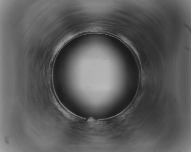 X0000103481437200809121640