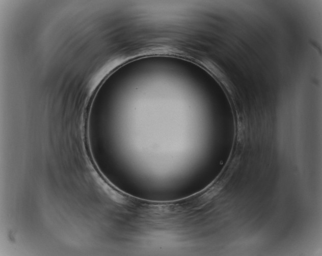 X0000103481438200809121640