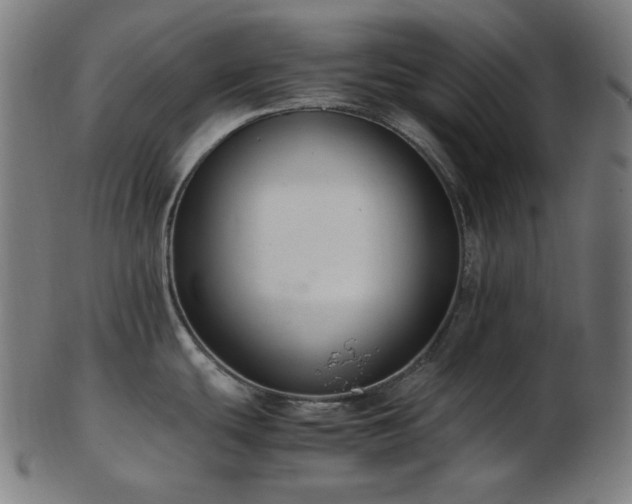X0000103481439200809121640