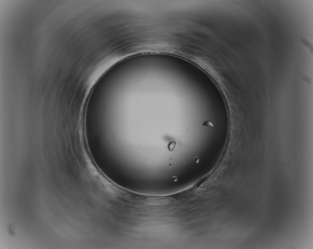 X0000103481440200809121640