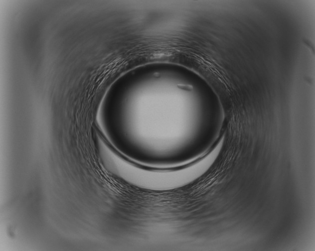 X0000103481441200809121639