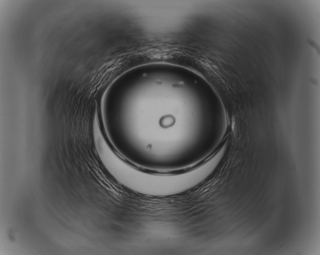 X0000103481444200809121639