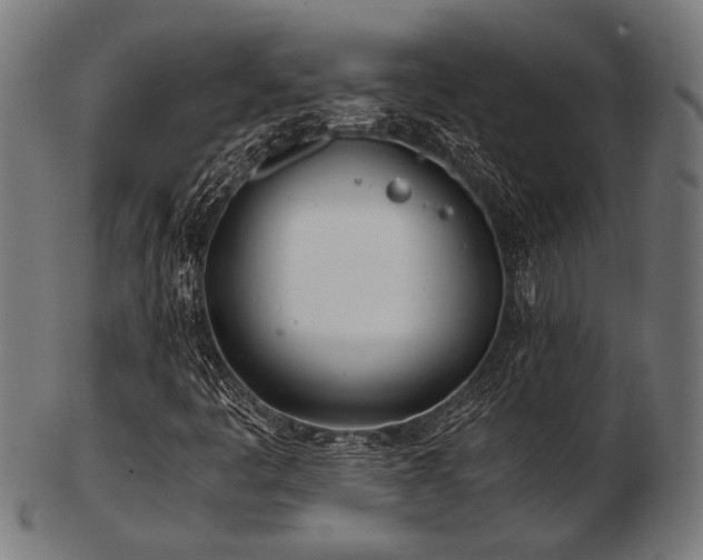 X0000103481445200809121639