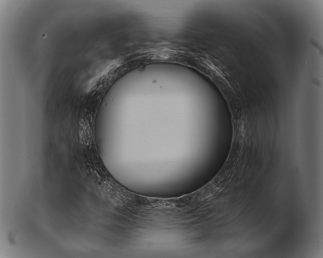 X0000103481446200809121639