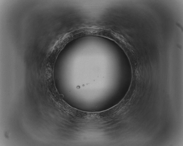 X0000103481447200809121639