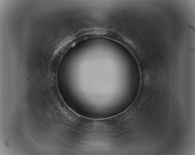 X0000103481448200809121639