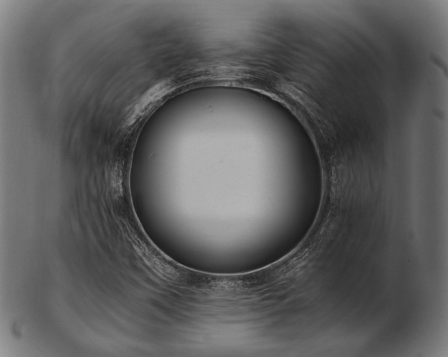 X0000103481451200809121639