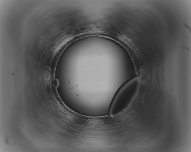 X0000103481452200809121639