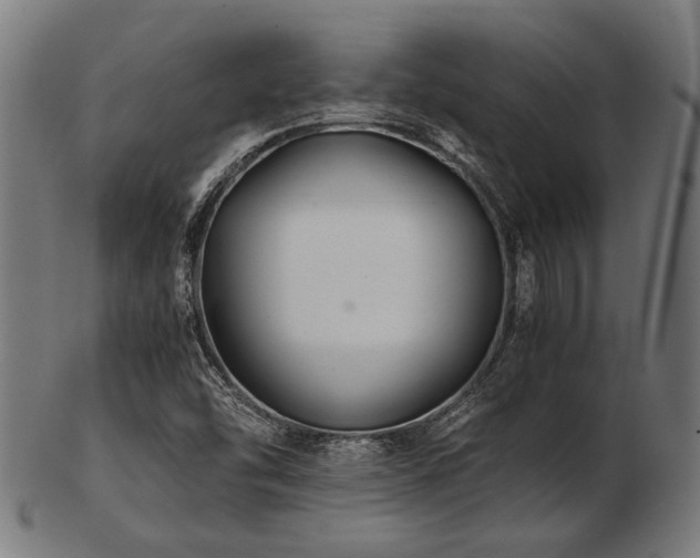 X0000103481454200809121639