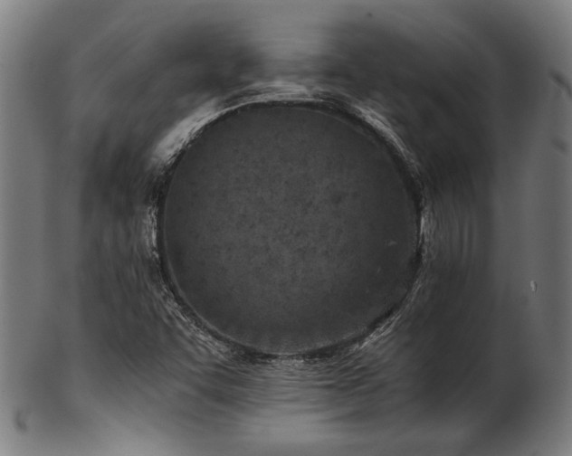 X0000103481455200809121639