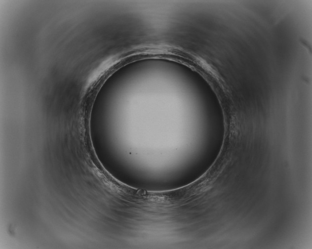 X0000103481456200809121639