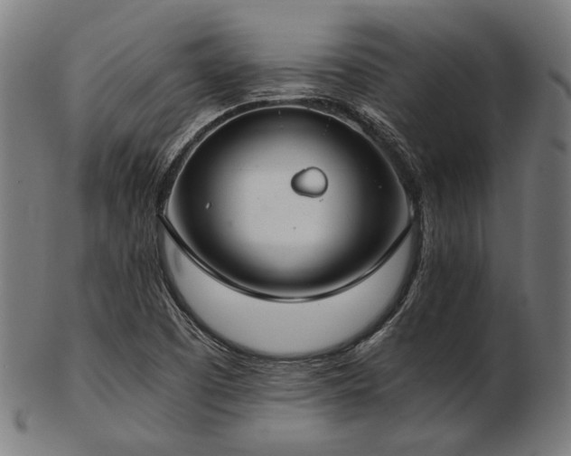 X0000103481457200809121639