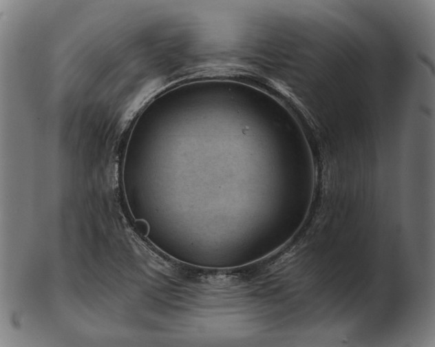 X0000103481459200809121639